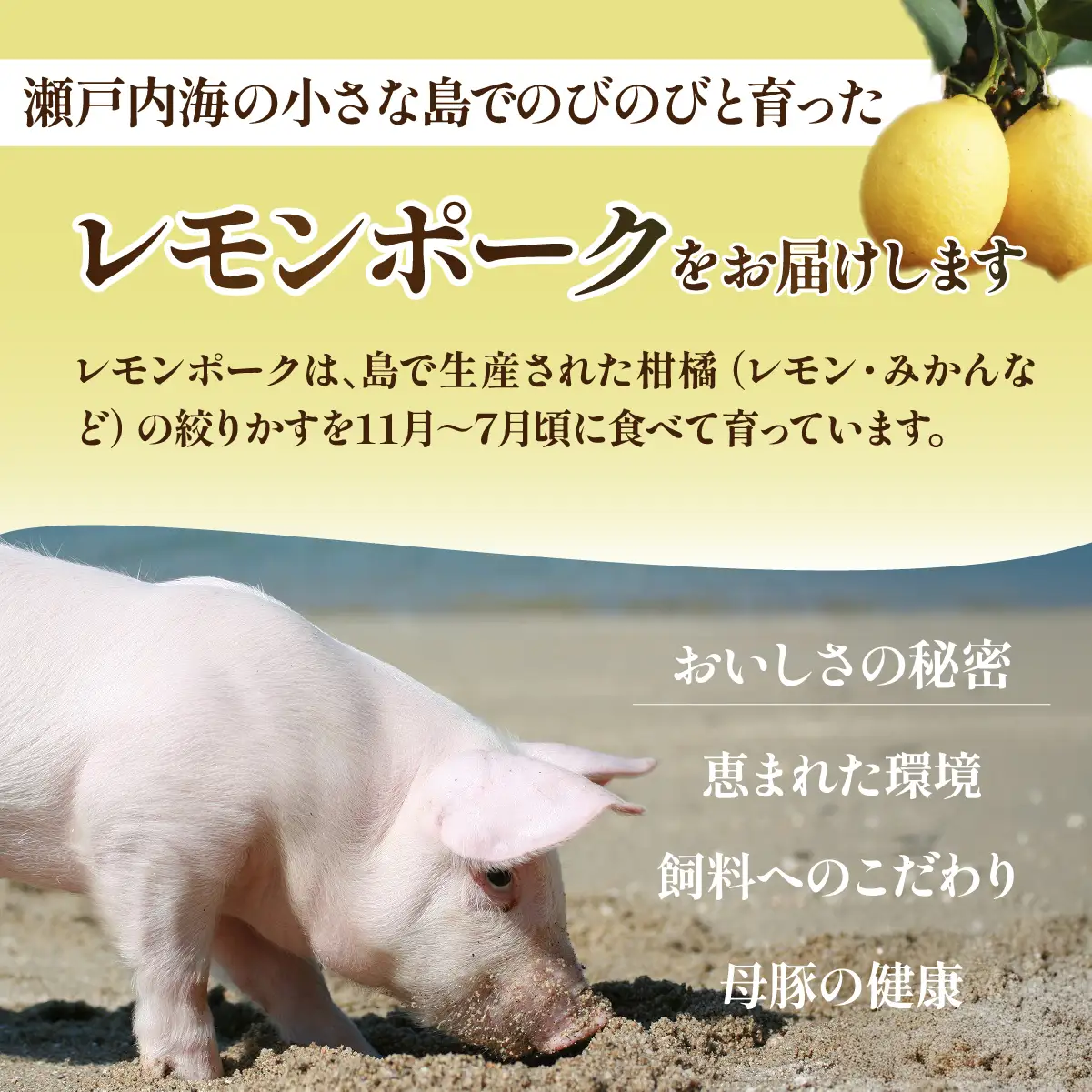 レモンポーク スペアリブ 1.5kg 500g×3p